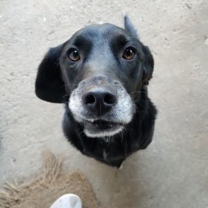 Meet your Posher, Leah